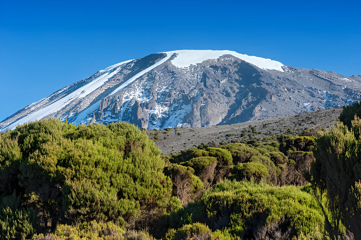 All-Inclusive Kilimanjaro Umbwe Route Trekking Packages
